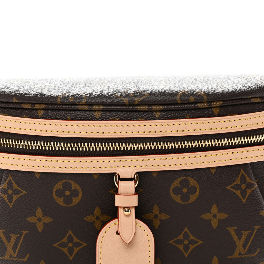 Louis Vuitton Monogram High Rise Bumbag