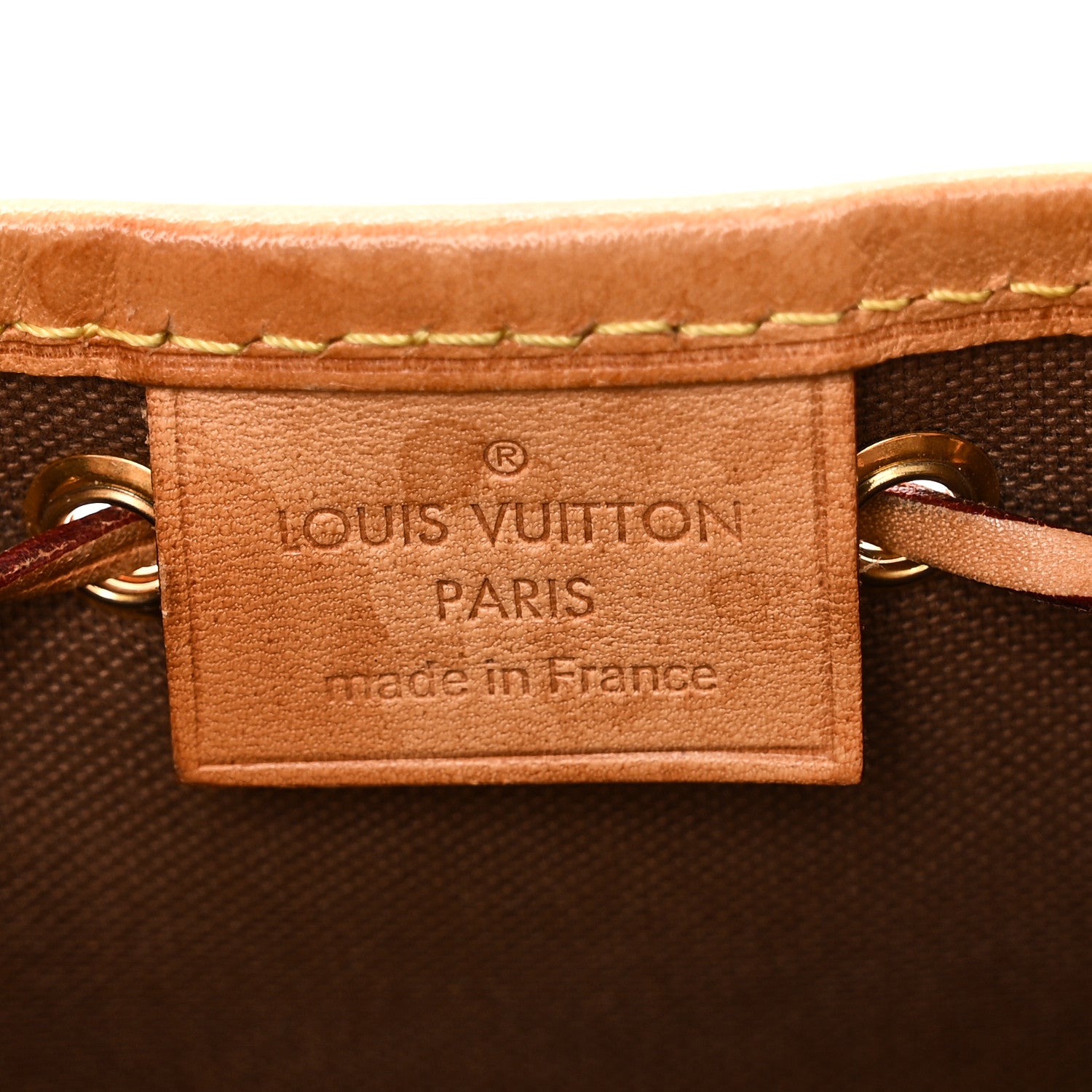 Louis Vuitton Monogram Nano Noe