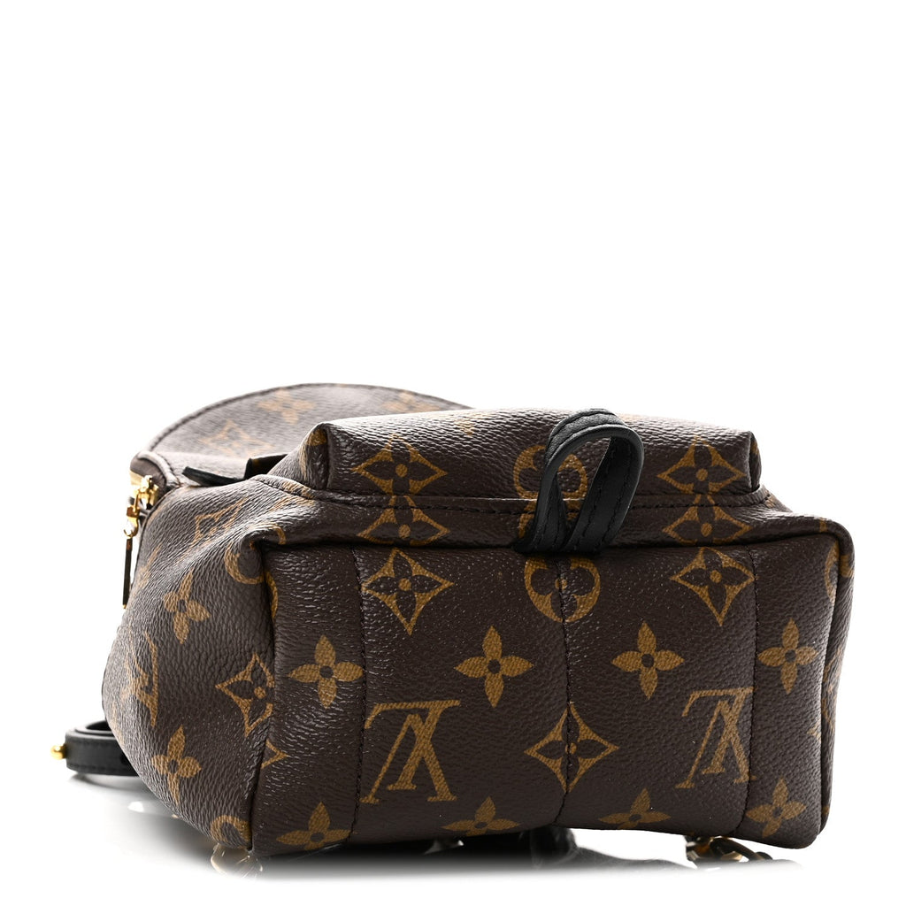 Louis Vuitton Monogram Palm Springs Backpack Mini