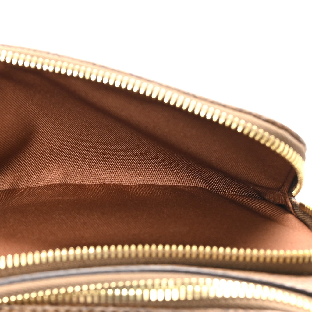 Louis Vuitton Monogram Dust Rush Bumbag