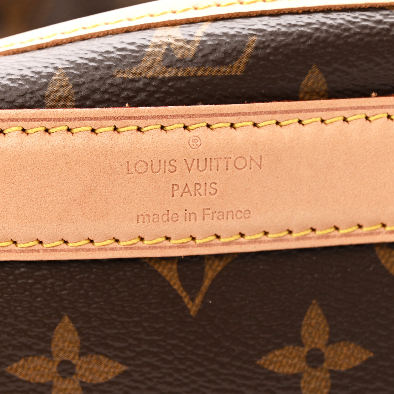 Louis Vuitton Monogram Sac Chien 40 Pet Carrier