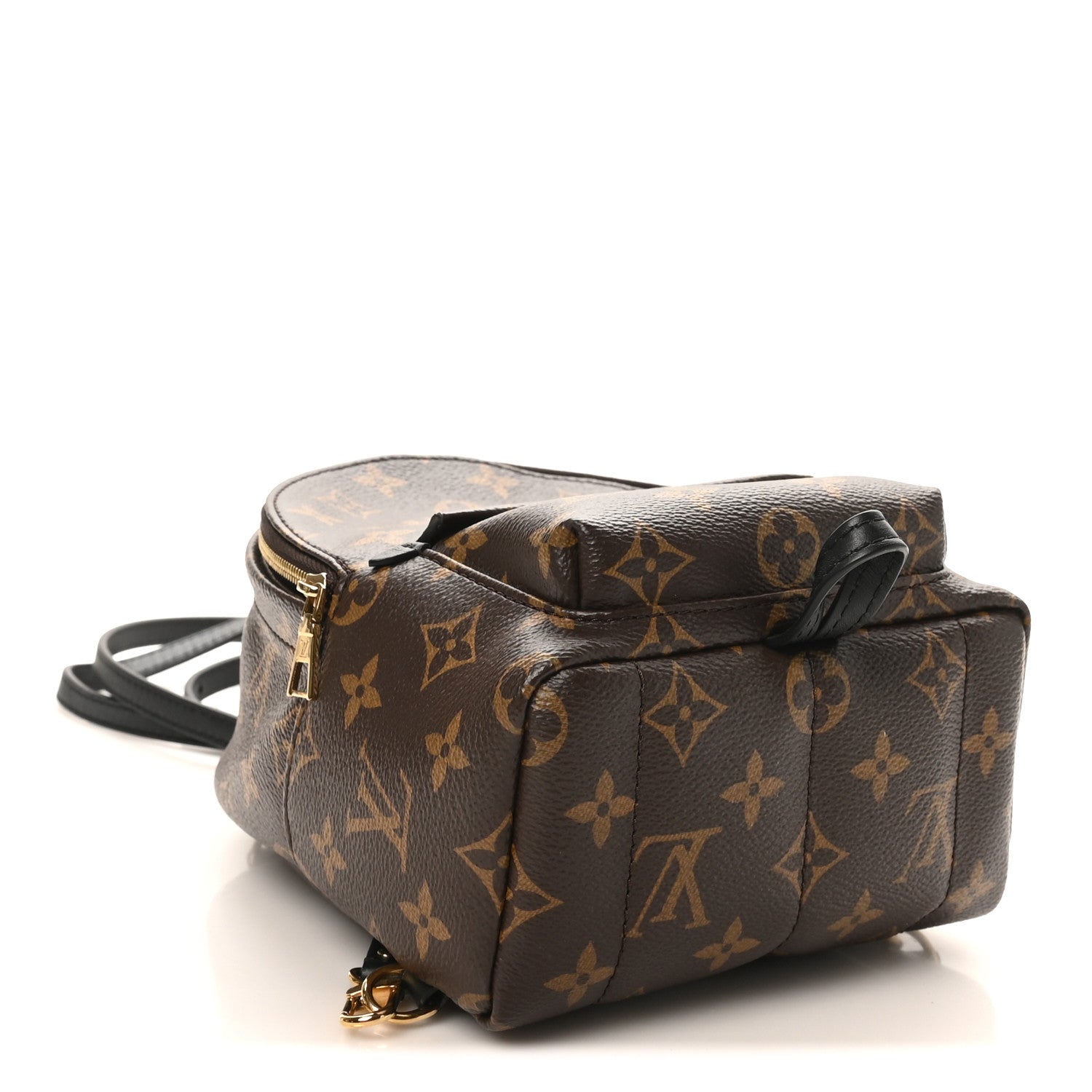 Louis Vuitton Monogram Palm Springs Backpack Mini