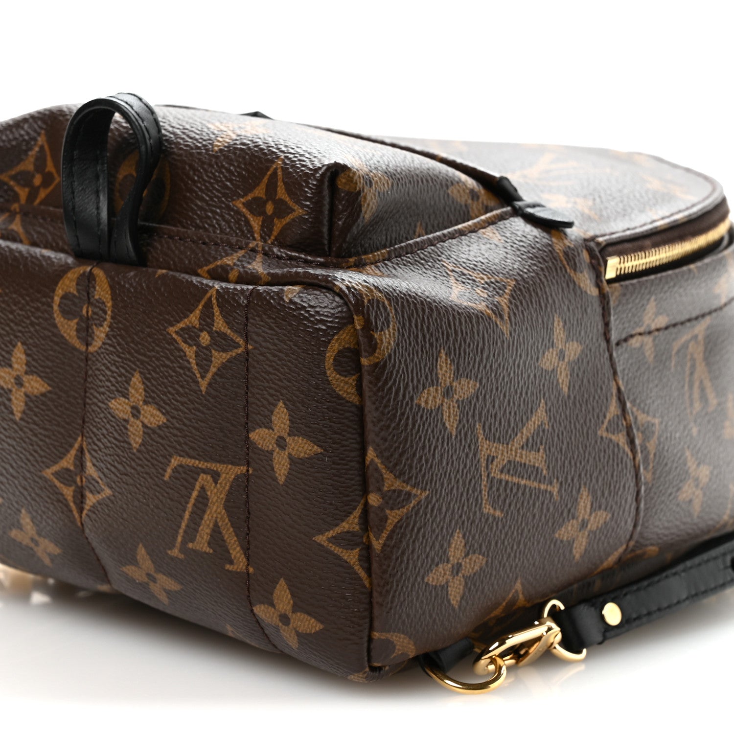 Louis Vuitton Monogram Palm Springs Backpack Mini