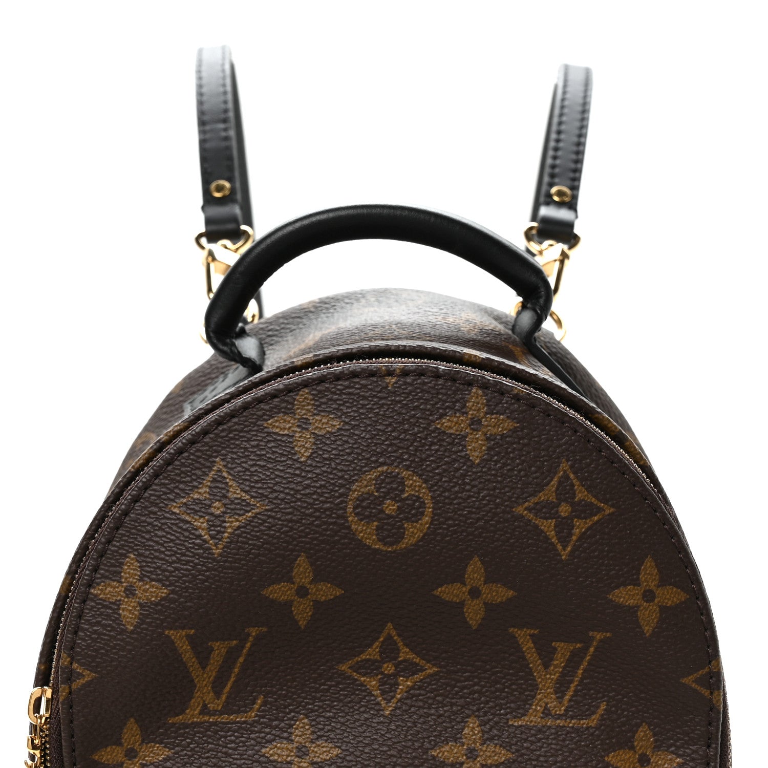 Louis Vuitton Monogram Palm Springs Backpack Mini