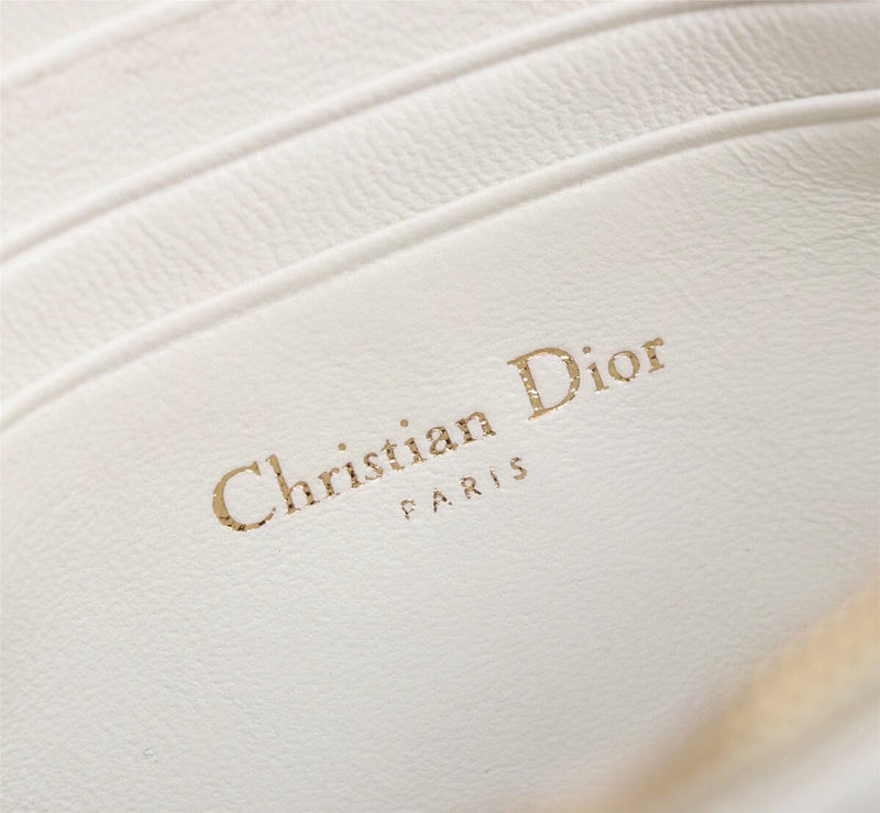 Dior Bag