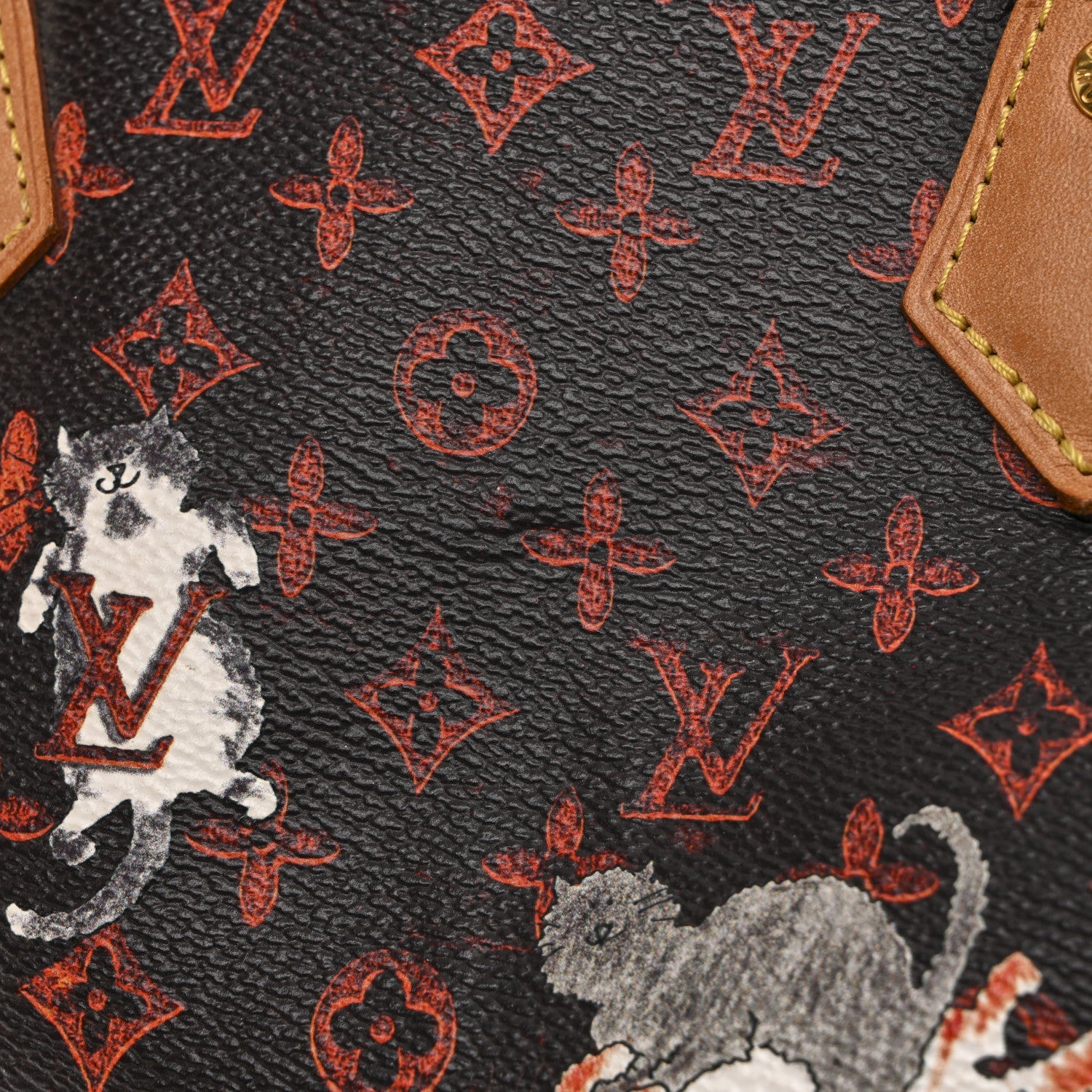 Louis Vuitton Catogram Speedy Bandouliere 30 Marron