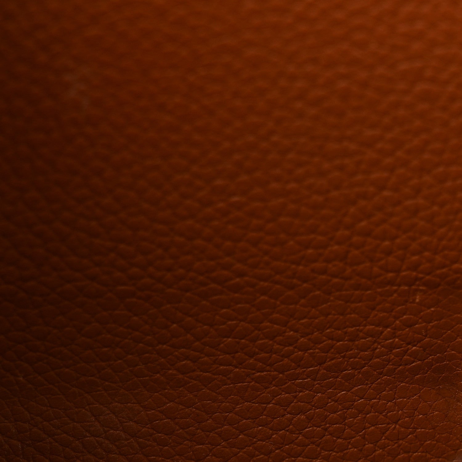 Louis Vuitton Monogram Olympe Camel