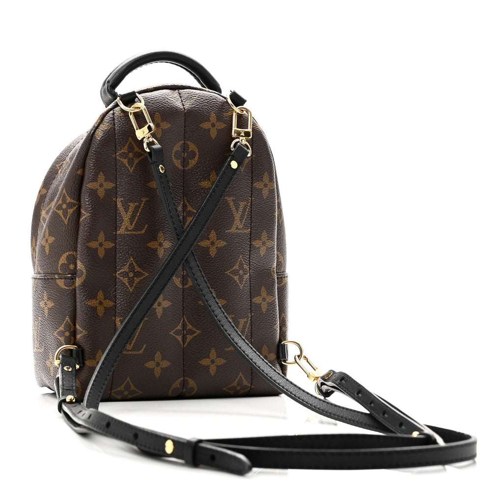 Louis Vuitton Monogram Palm Springs Backpack Mini