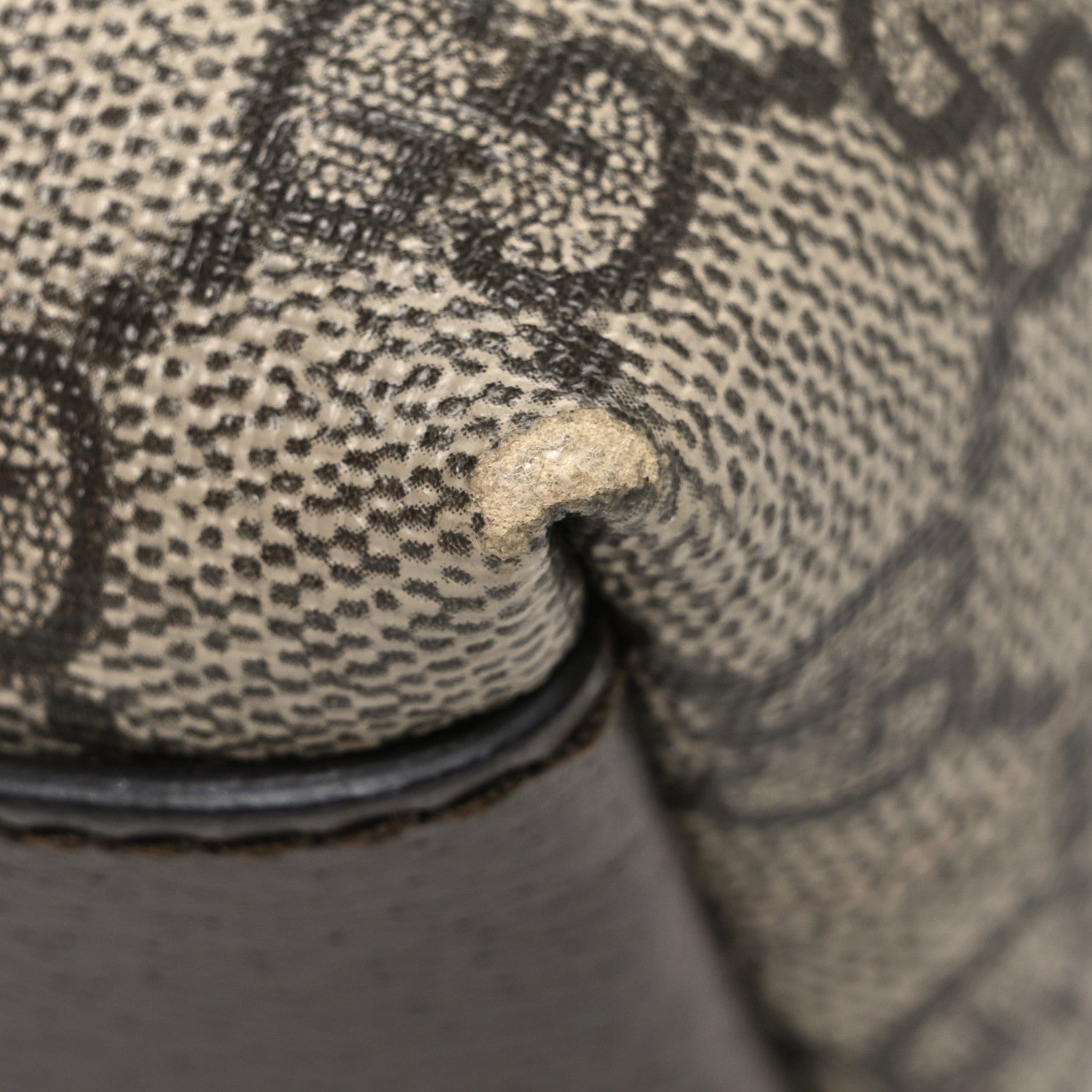 Gucci GG Supreme Monogram Textured Dollar Calfskin Web Small Ophidia Dome Shoulder Bag Beige Ebony New Acero