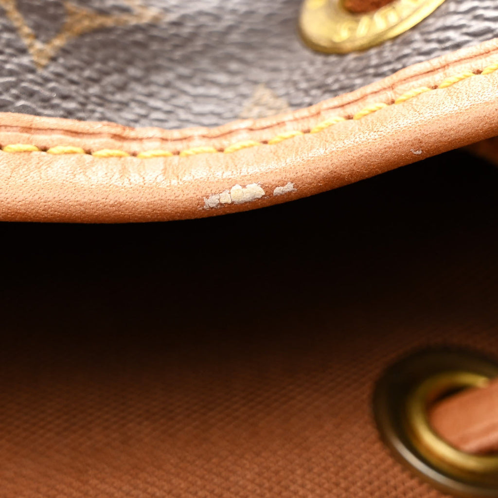 Louis Vuitton Monogram Montsouris MM Backpack