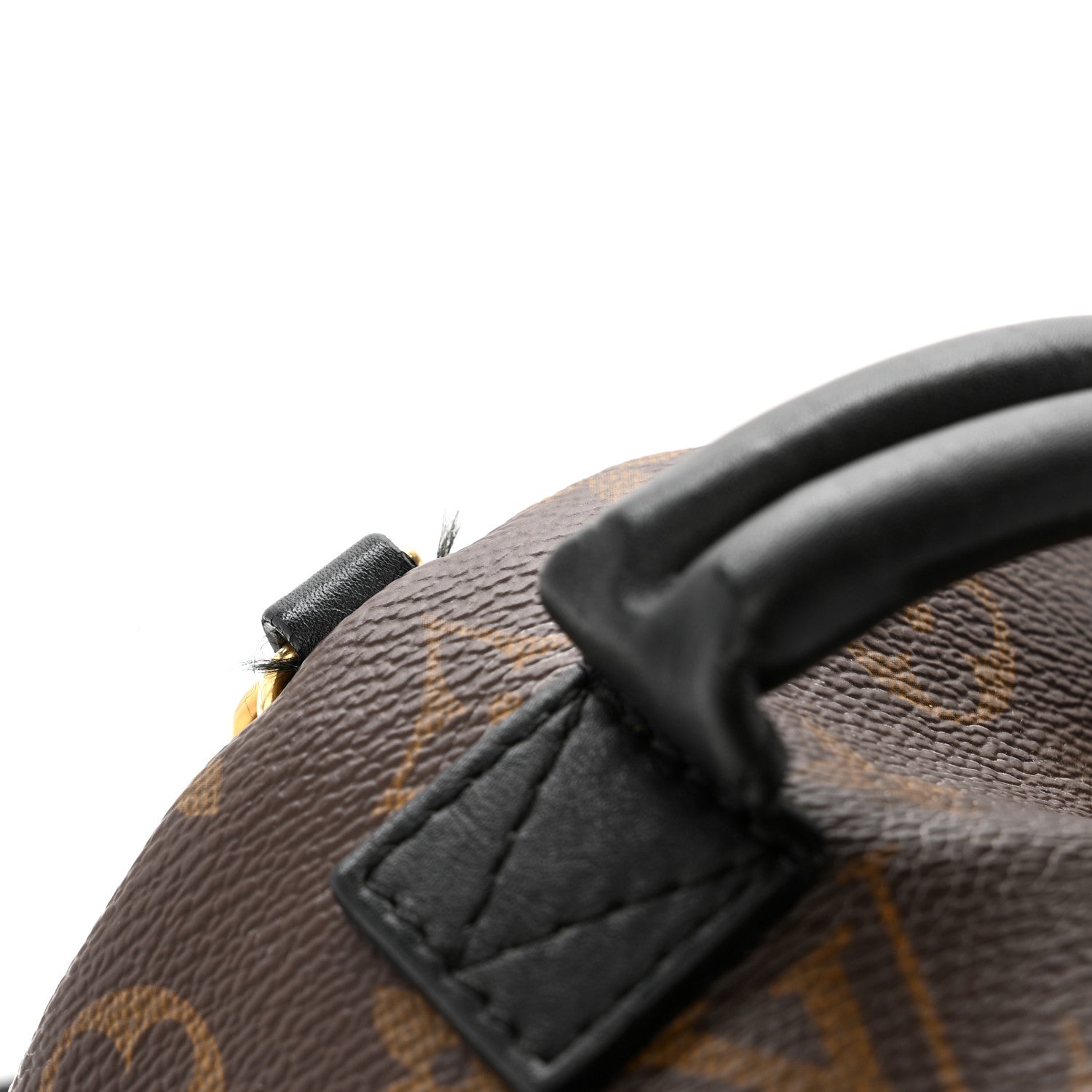 Louis Vuitton Monogram Palm Springs Backpack Mini