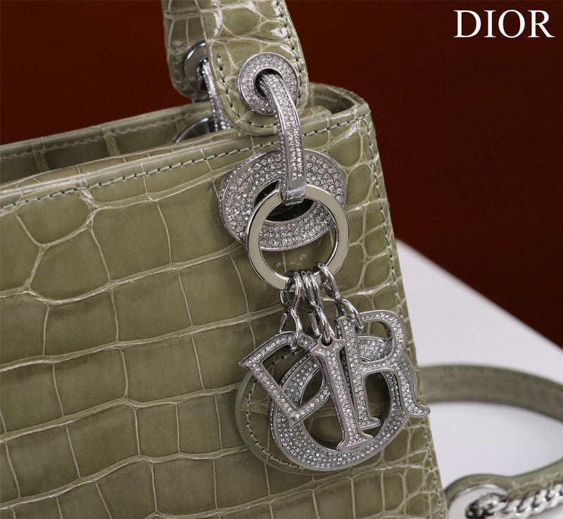 Dior Bag