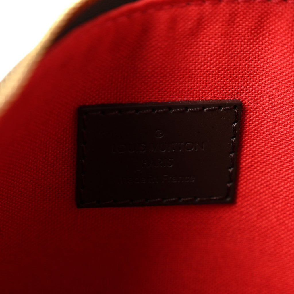 Louis Vuitton Damier Ebene Duomo Hobo