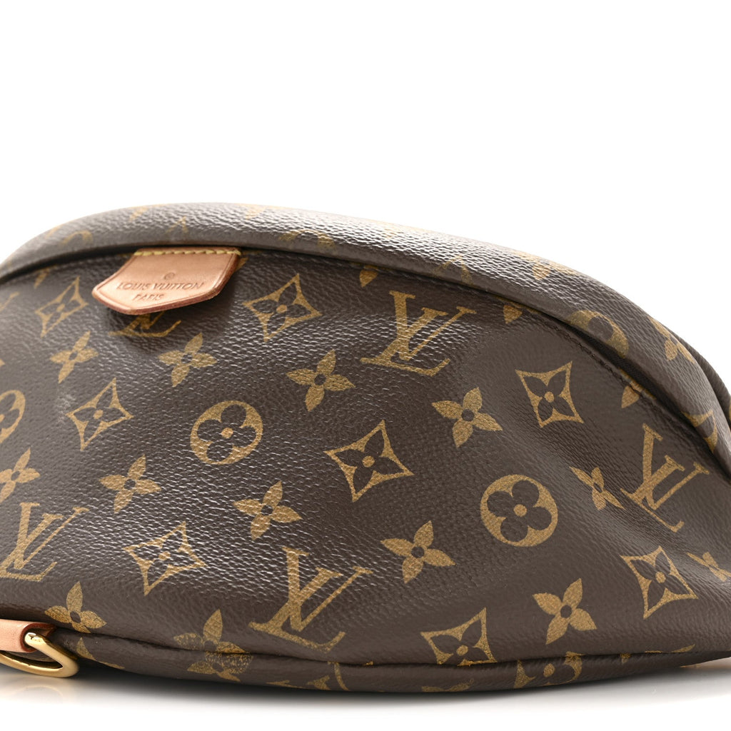 Louis Vuitton Monogram Bumbag