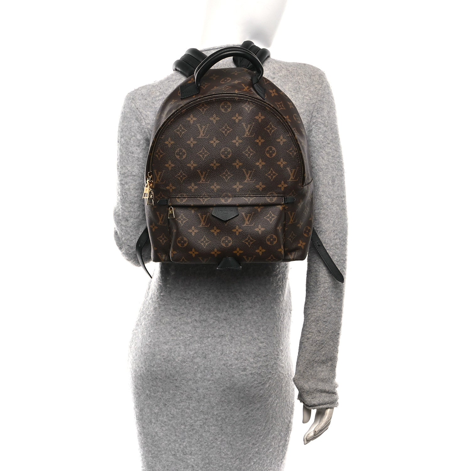Louis Vuitton Monogram Palm Springs Backpack MM