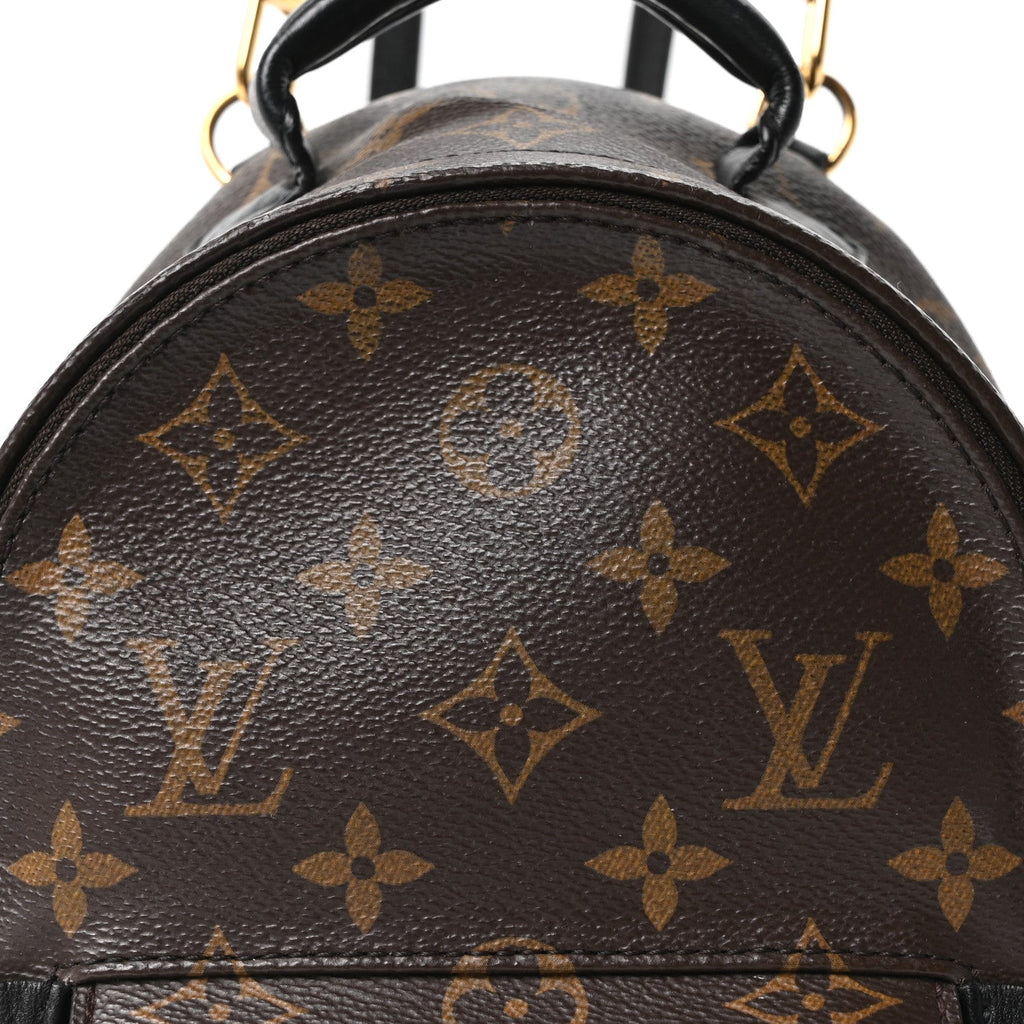 Louis Vuitton Monogram Palm Springs Backpack Mini