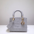 Dior Bags - 4928