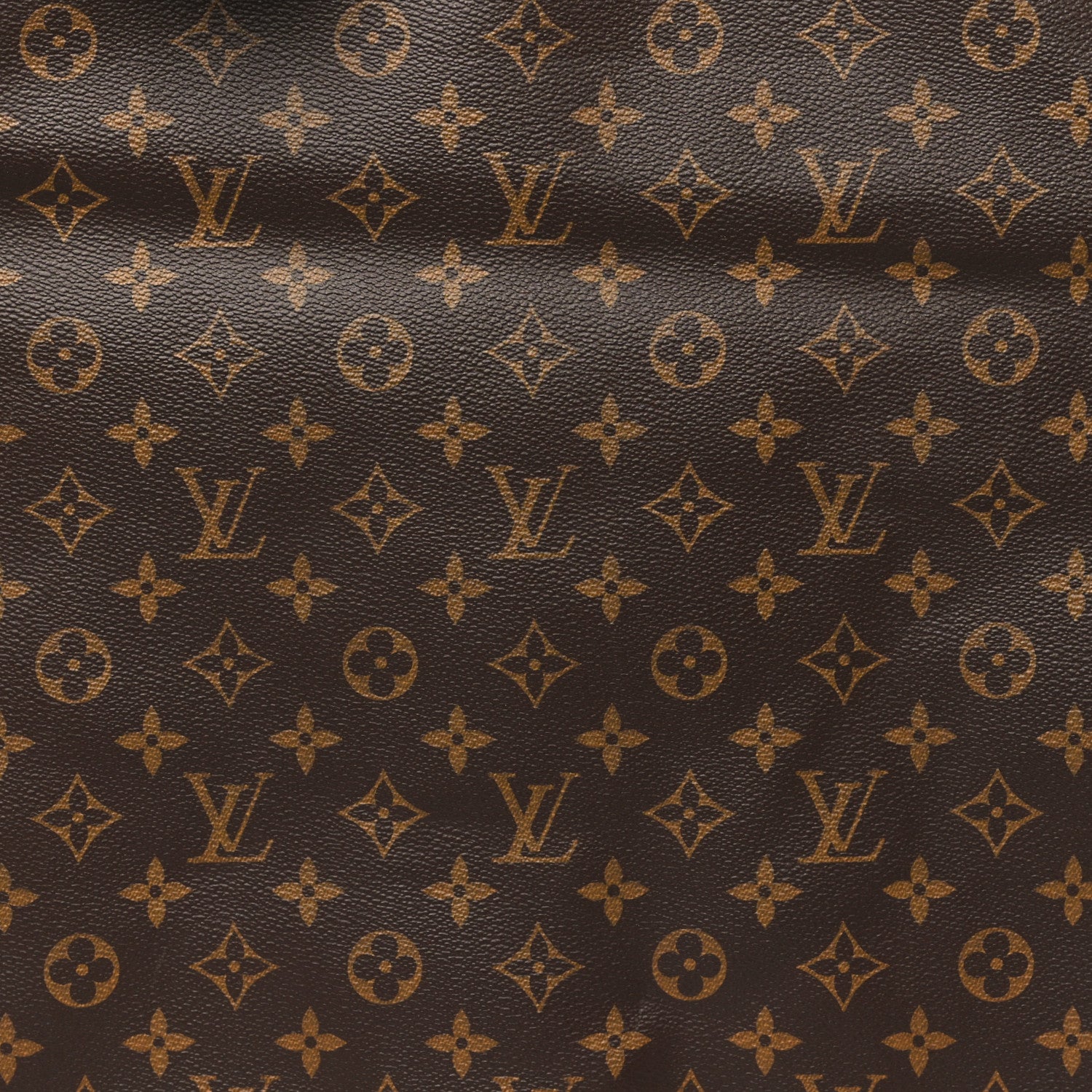 Louis Vuitton Monogram Garment Cover 3 Hangers