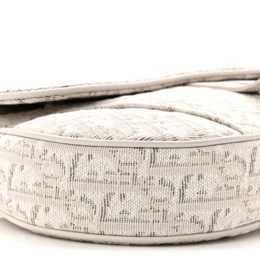 Christian Dior Oblique Mens Saddle Bag Grey