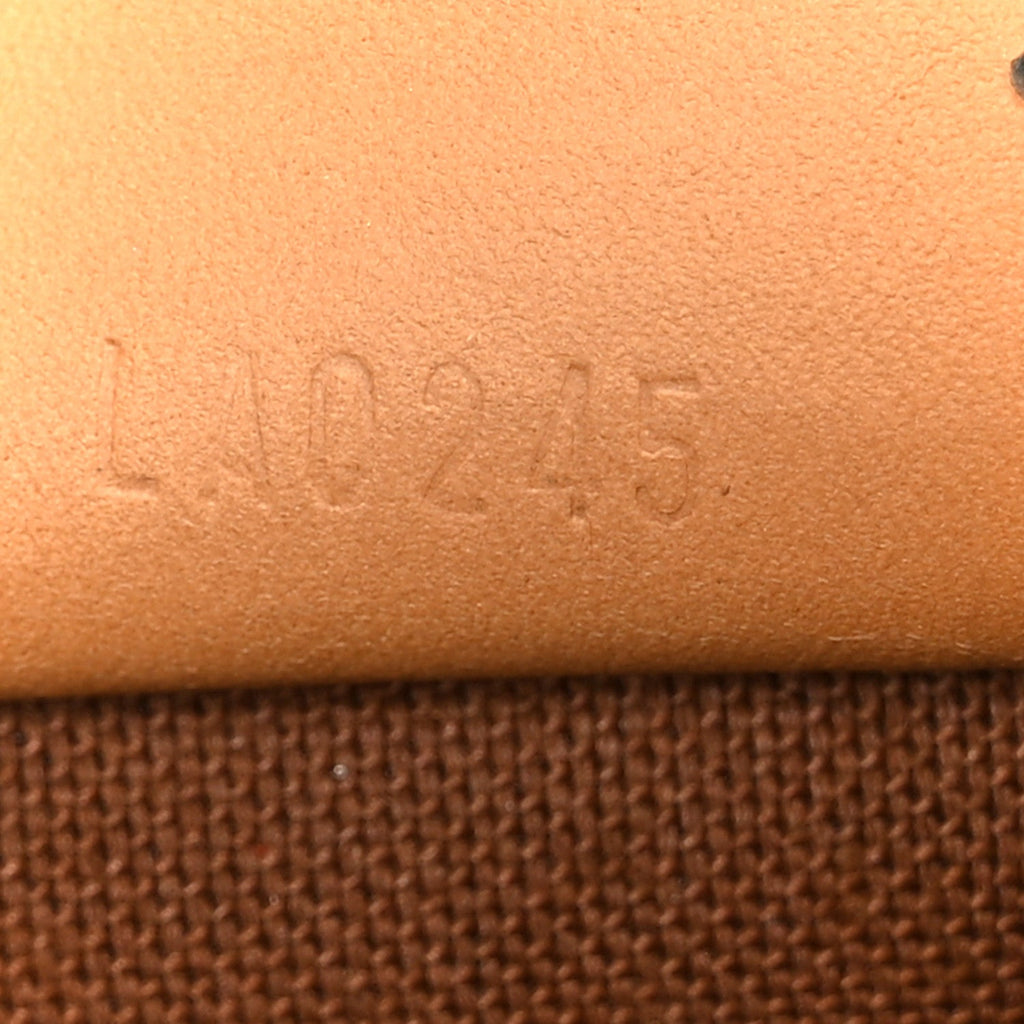Louis Vuitton Monogram Nano Speedy Bandouliere
