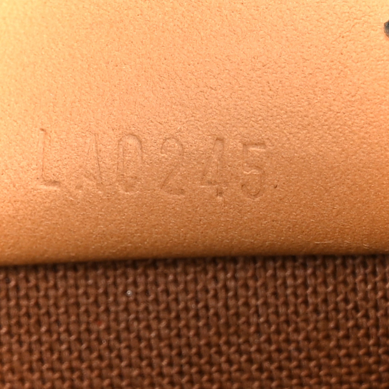 Louis Vuitton Monogram Nano Speedy Bandouliere