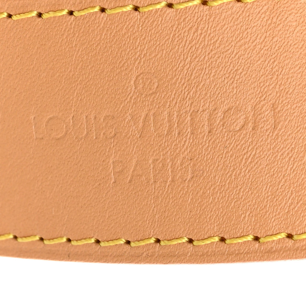 Louis Vuitton Monogram Carryall PM