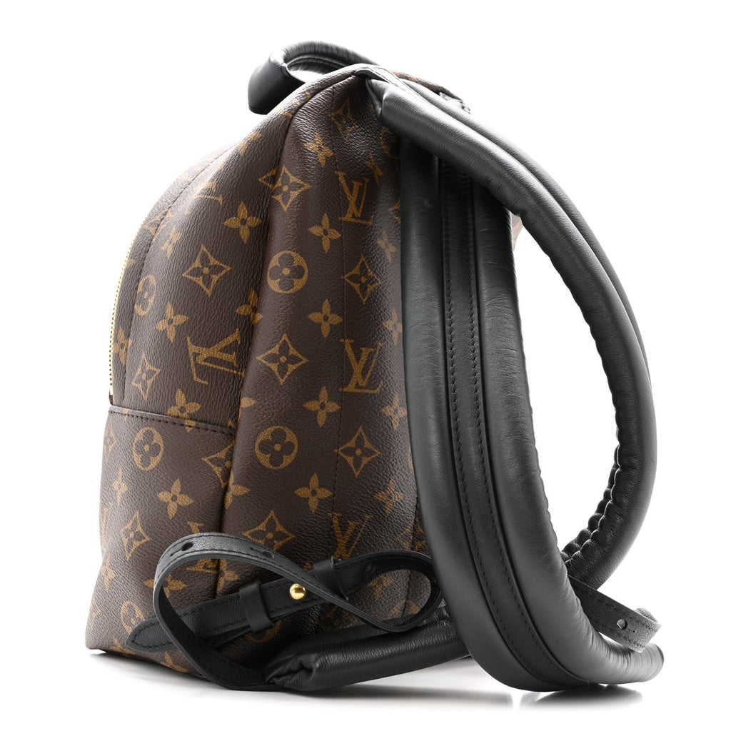 Louis Vuitton Monogram Palm Springs Backpack PM