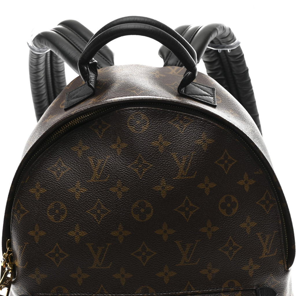 Louis Vuitton Monogram Palm Springs Backpack MM