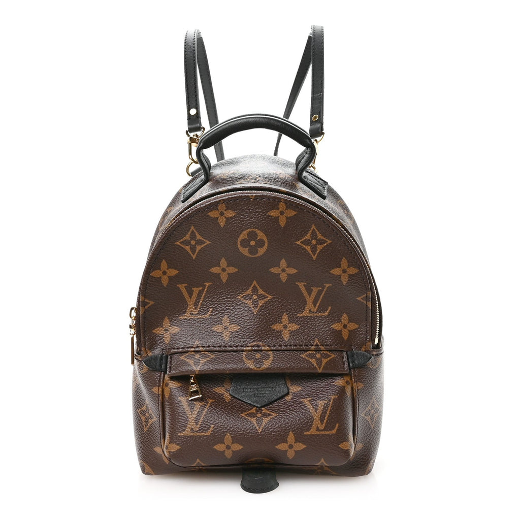 Louis Vuitton Monogram Palm Springs Backpack Mini