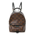 Louis Vuitton Monogram Palm Springs Backpack Mini