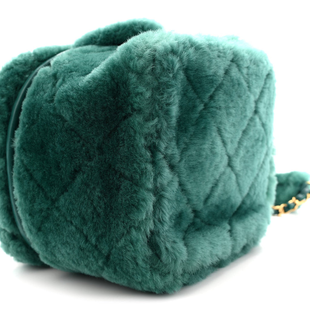 Chanel Shearling Lambskin Quilted Small Vanity Case Green