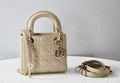 Dior Bags - 2882