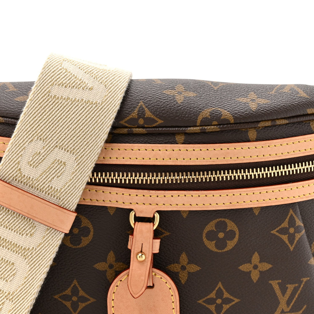Louis Vuitton Monogram High Rise Bumbag