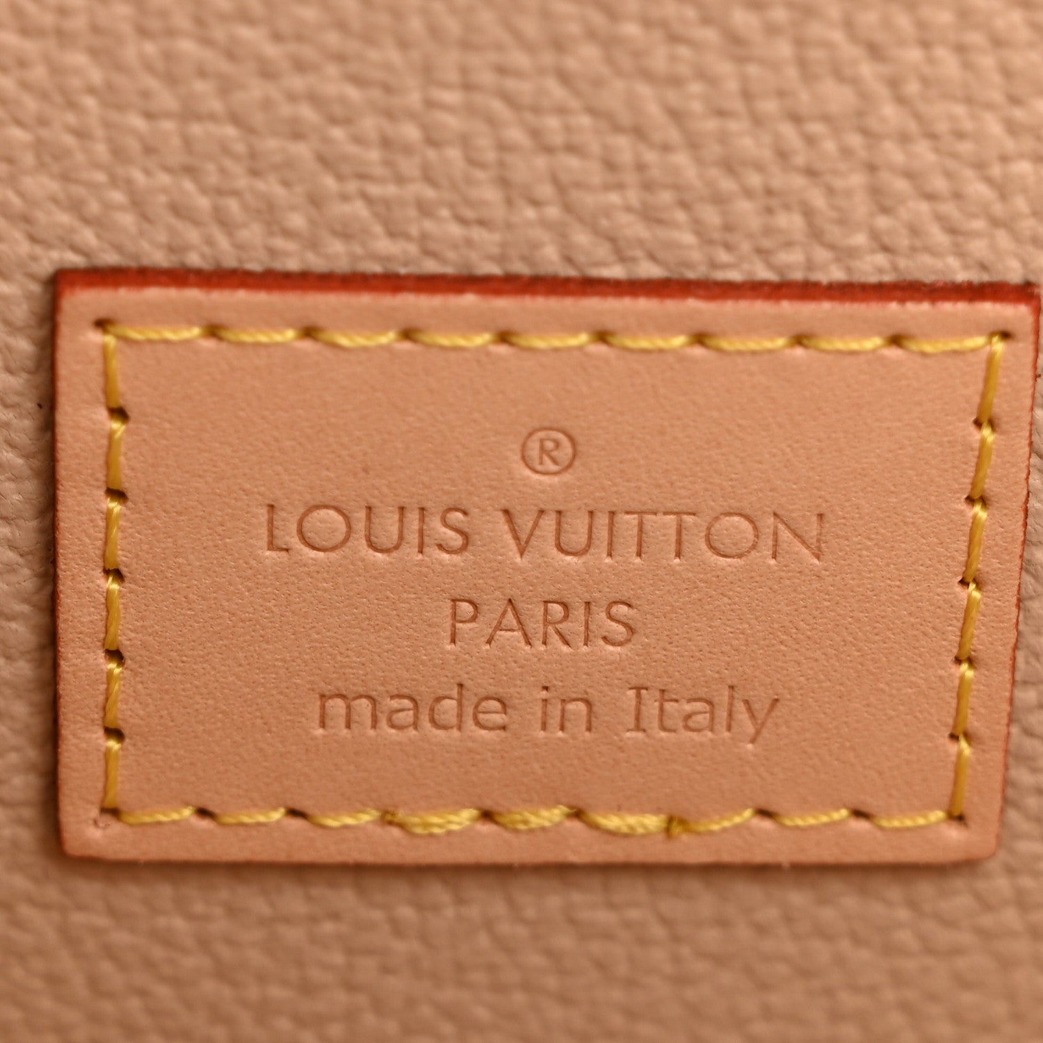 Louis Vuitton Monogram Nice Mini
