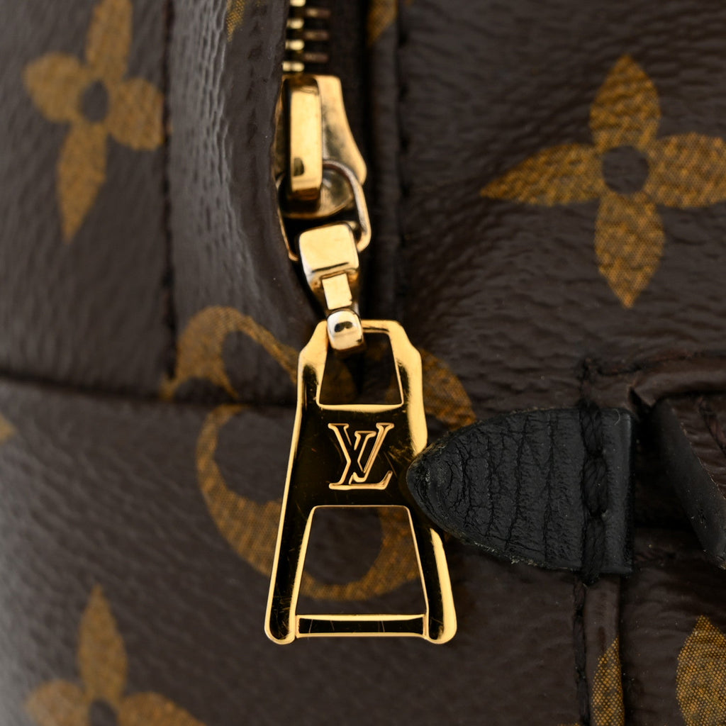 Louis Vuitton Monogram Palm Springs Backpack Mini