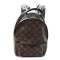 Louis Vuitton Monogram Palm Springs Backpack PM