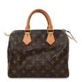 Louis Vuitton Monogram Speedy 25