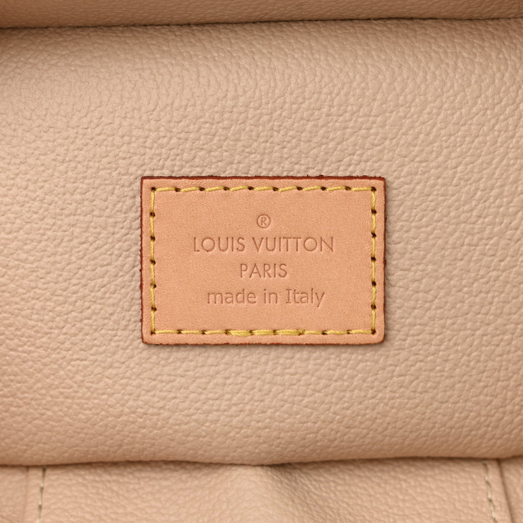 Louis Vuitton Monogram Nano Nice