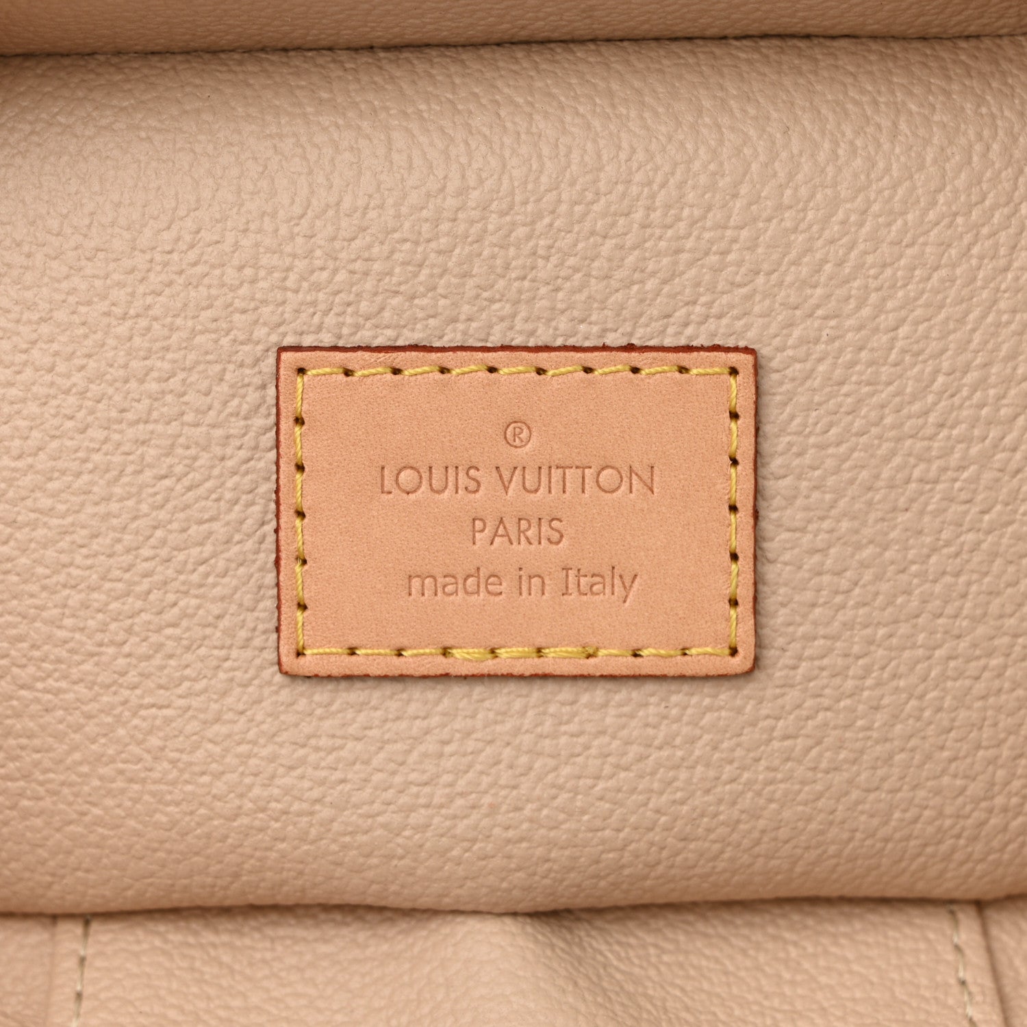 Louis Vuitton Monogram Nano Nice