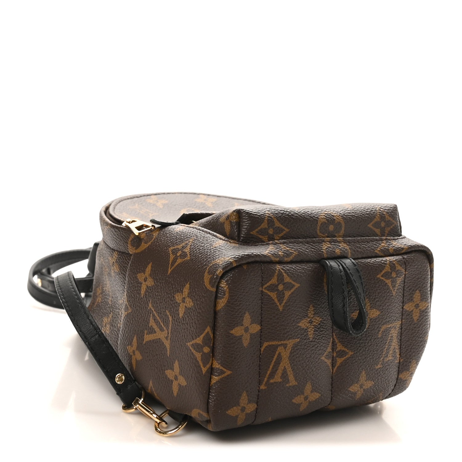Louis Vuitton Monogram Palm Springs Backpack Mini