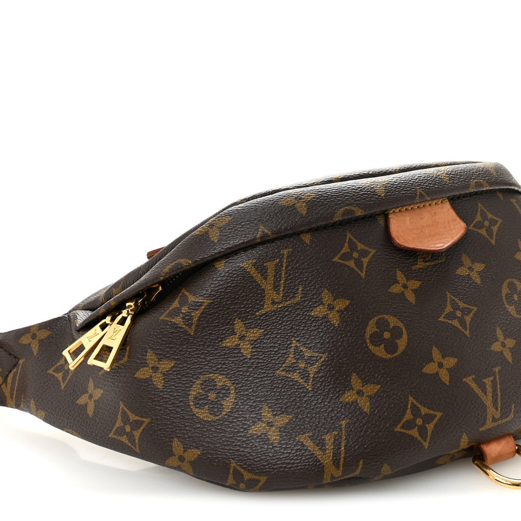 Louis Vuitton Monogram Bumbag