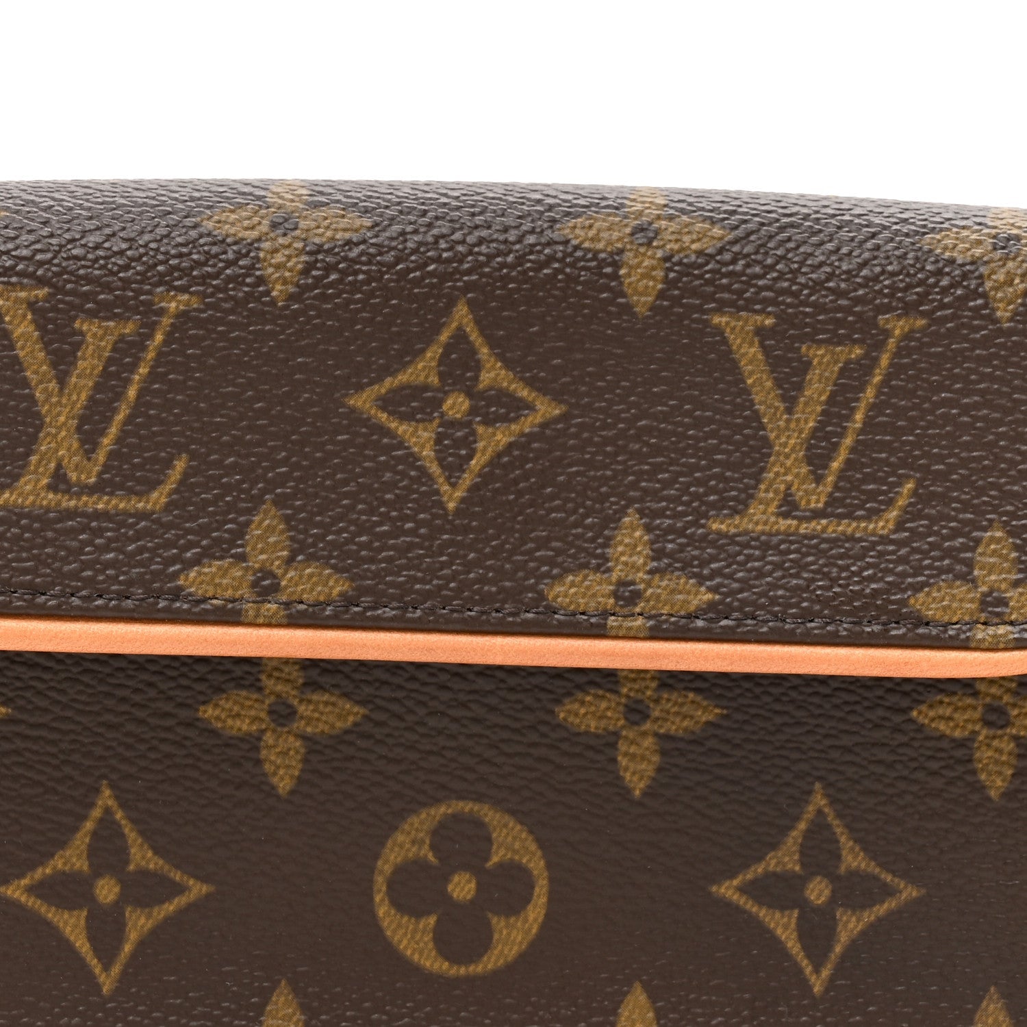 Louis Vuitton Monogram Pochette Florentine M