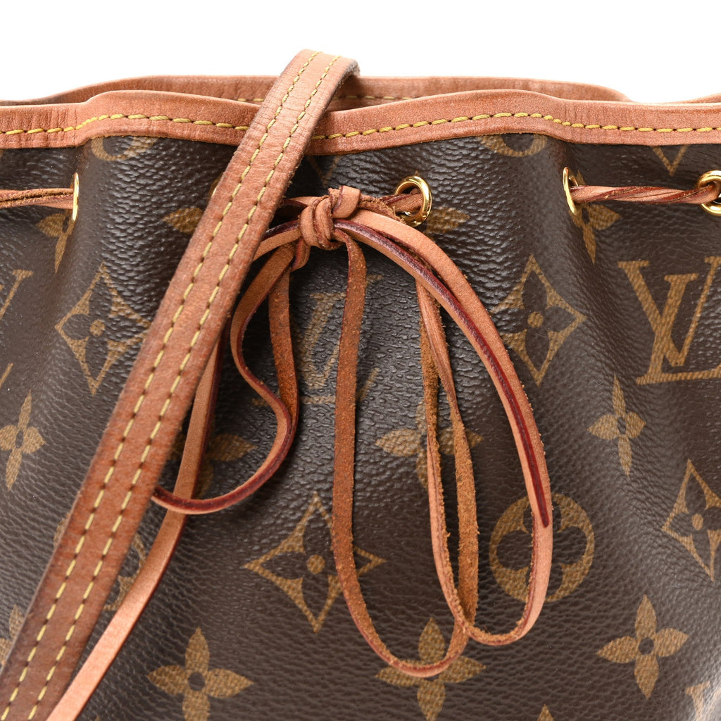 Louis Vuitton Monogram Nano Noe