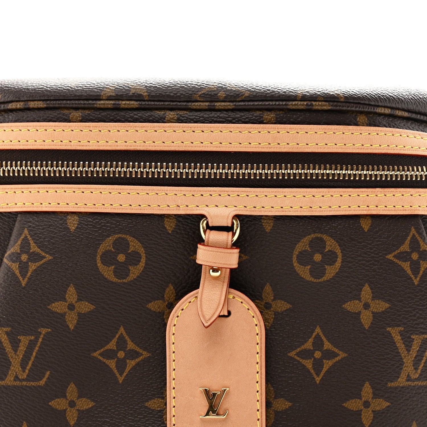 Louis Vuitton Monogram High Rise Bumbag