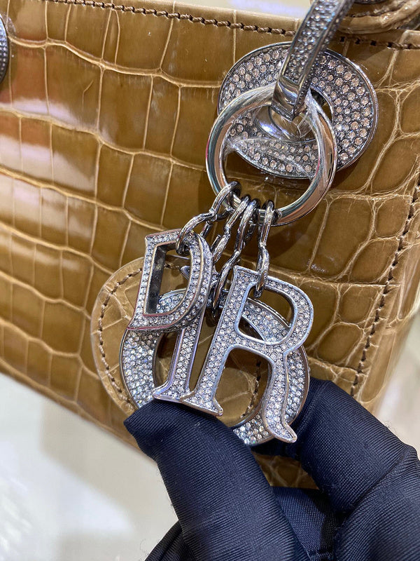 Dior Bag