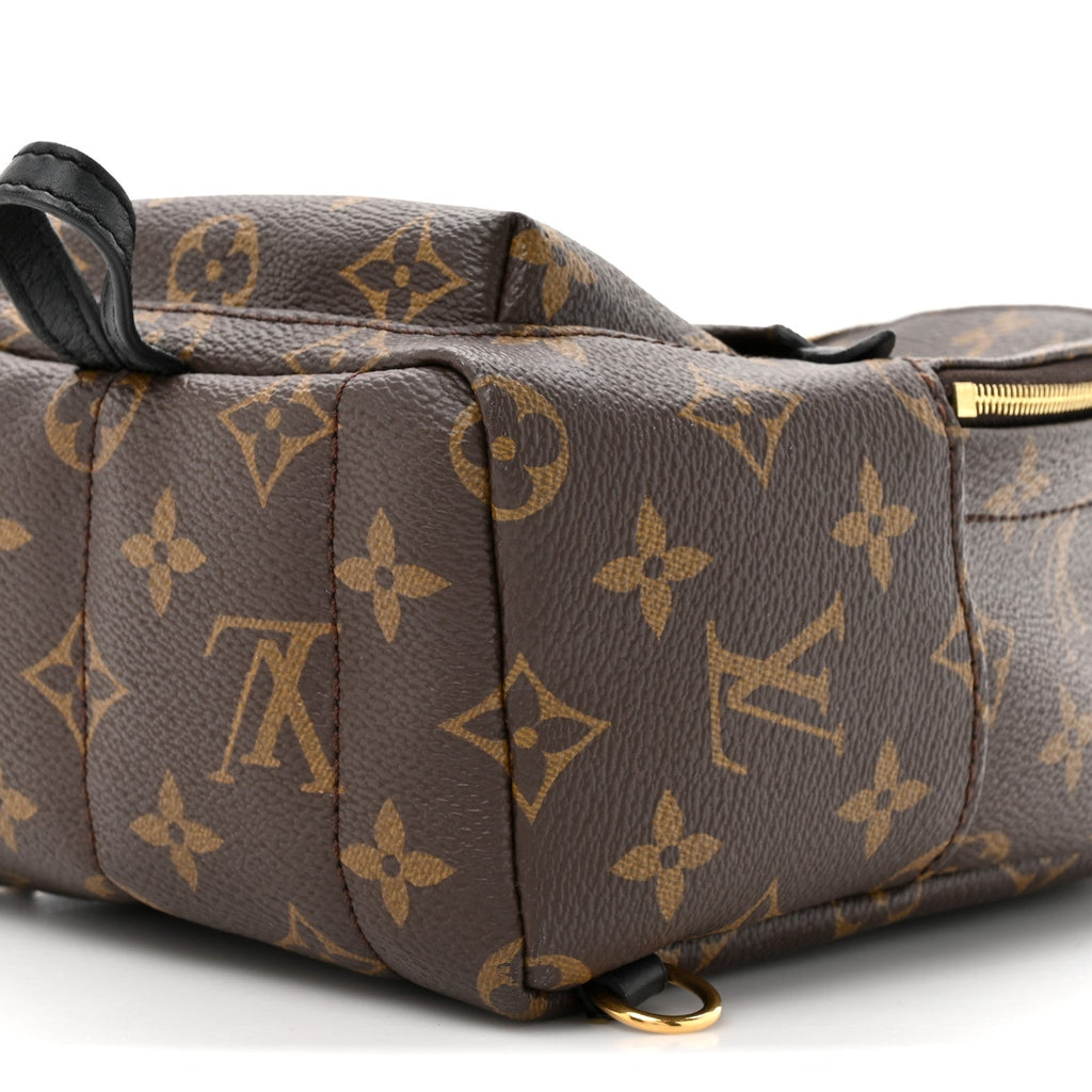 Louis Vuitton Monogram Palm Springs Backpack Mini