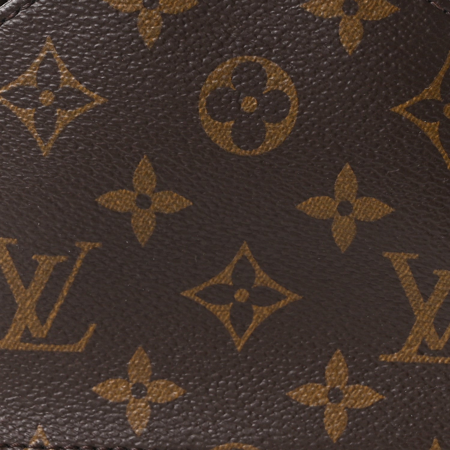 Louis Vuitton Monogram Palm Springs Backpack Mini