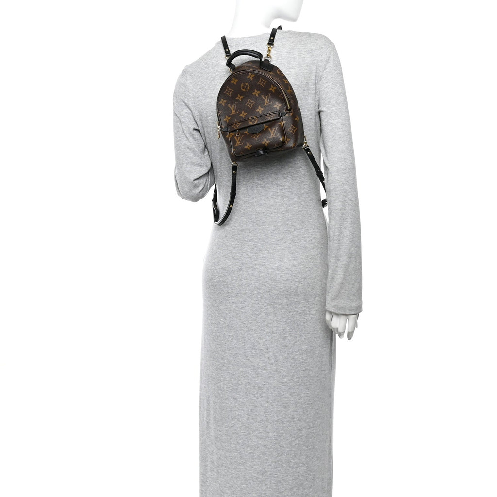 Louis Vuitton Monogram Palm Springs Backpack Mini