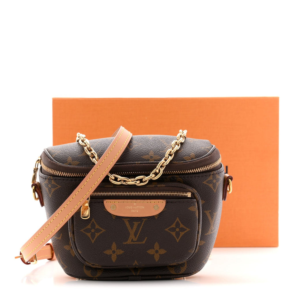 Louis Vuitton Monogram Mini Bumbag