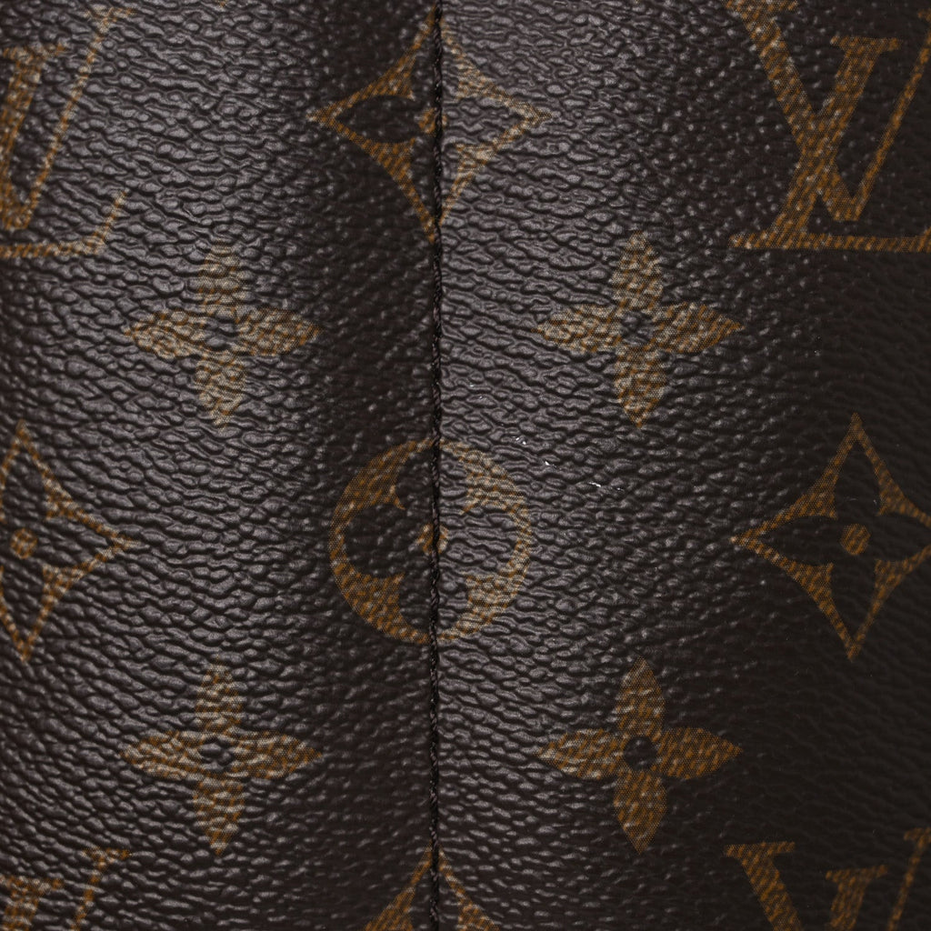 Louis Vuitton Monogram Palm Springs Backpack Mini